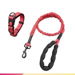 Medium-Dog Nylon Leash 2