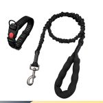 Medium-Dog Nylon Leash 3