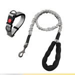 Medium-Dog Nylon Leash 4