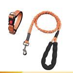 Medium-Dog Nylon Leash 5
