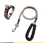 Medium-Dog Nylon Leash 6