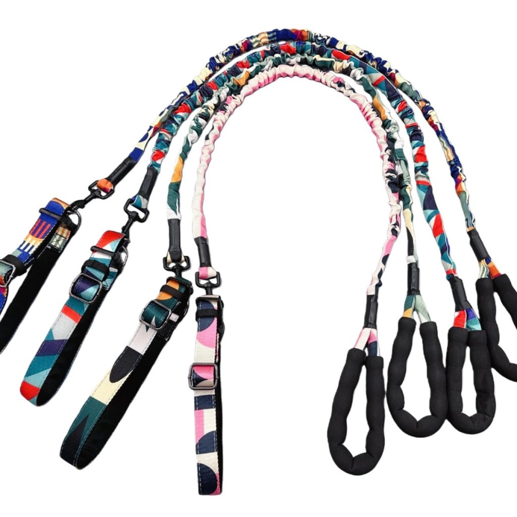 Retractable Dog Leash