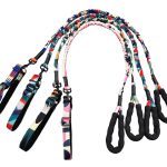 Retractable Dog Leash 1