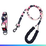 Retractable Dog Leash 2