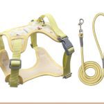 Cartoon Cat Mesh Harness, Padded 3