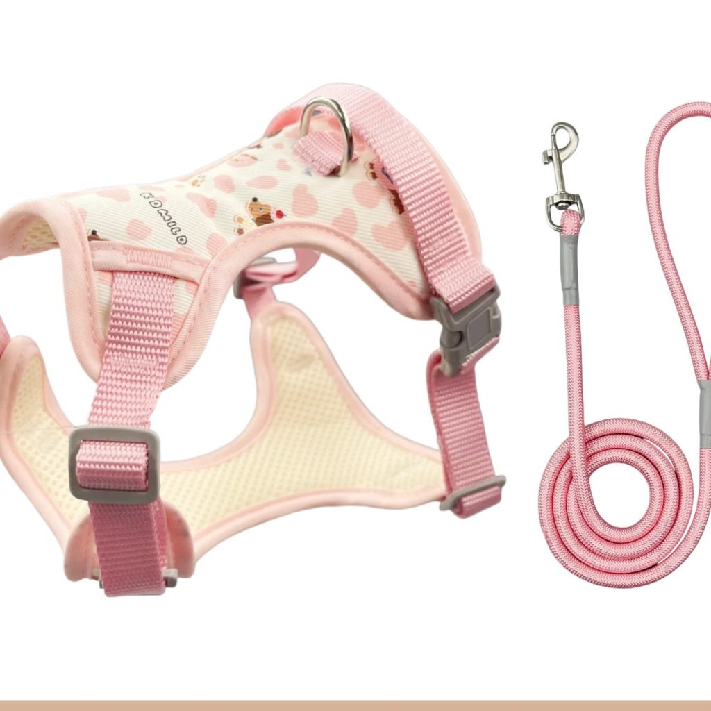 Cartoon Cat Mesh Harness, Padded