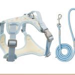 Cartoon Cat Mesh Harness, Padded 4