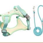 Cartoon Cat Mesh Harness, Padded 5