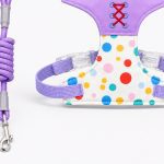 Striped Mesh Harness 6
