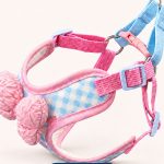 Bow-Accent Mesh Harness 4