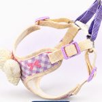 Bow-Accent Mesh Harness 5