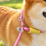 Check-Handle P-Rope Leash 1