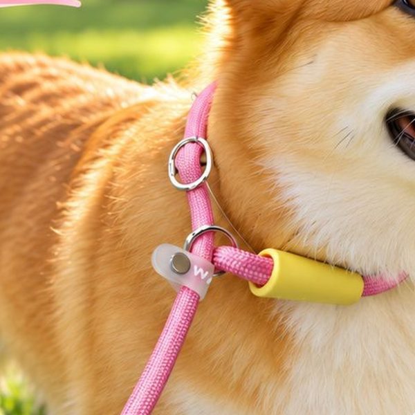 pettrail-1086625083051-0