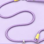 Check-Handle P-Rope Leash 3