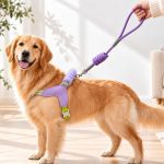 Saddle-Style Dog Harness 8
