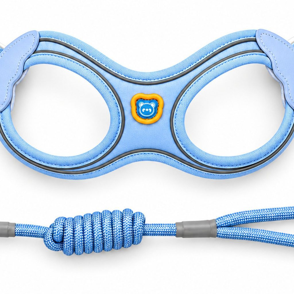 LED Glasses-Style Harness, Rechargeable