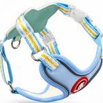 Saddle Harness & Leash Set 2