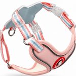 Saddle Harness & Leash Set 3