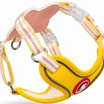 Saddle Harness & Leash Set 5