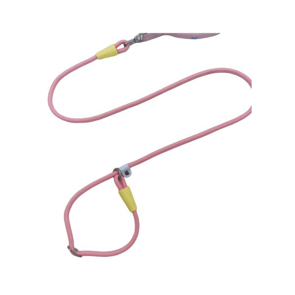 P-Rope Training Lead P-Rope Training Lead