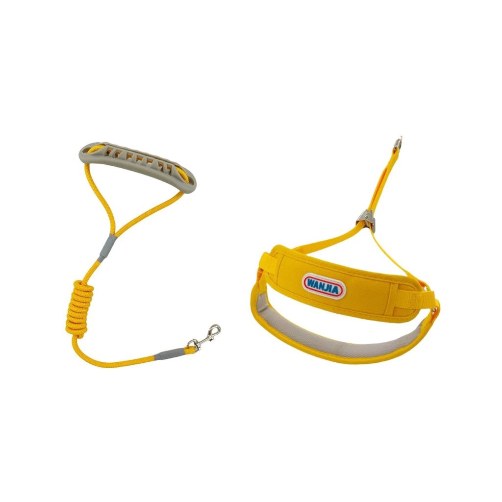 Vest-Style Mesh Harness