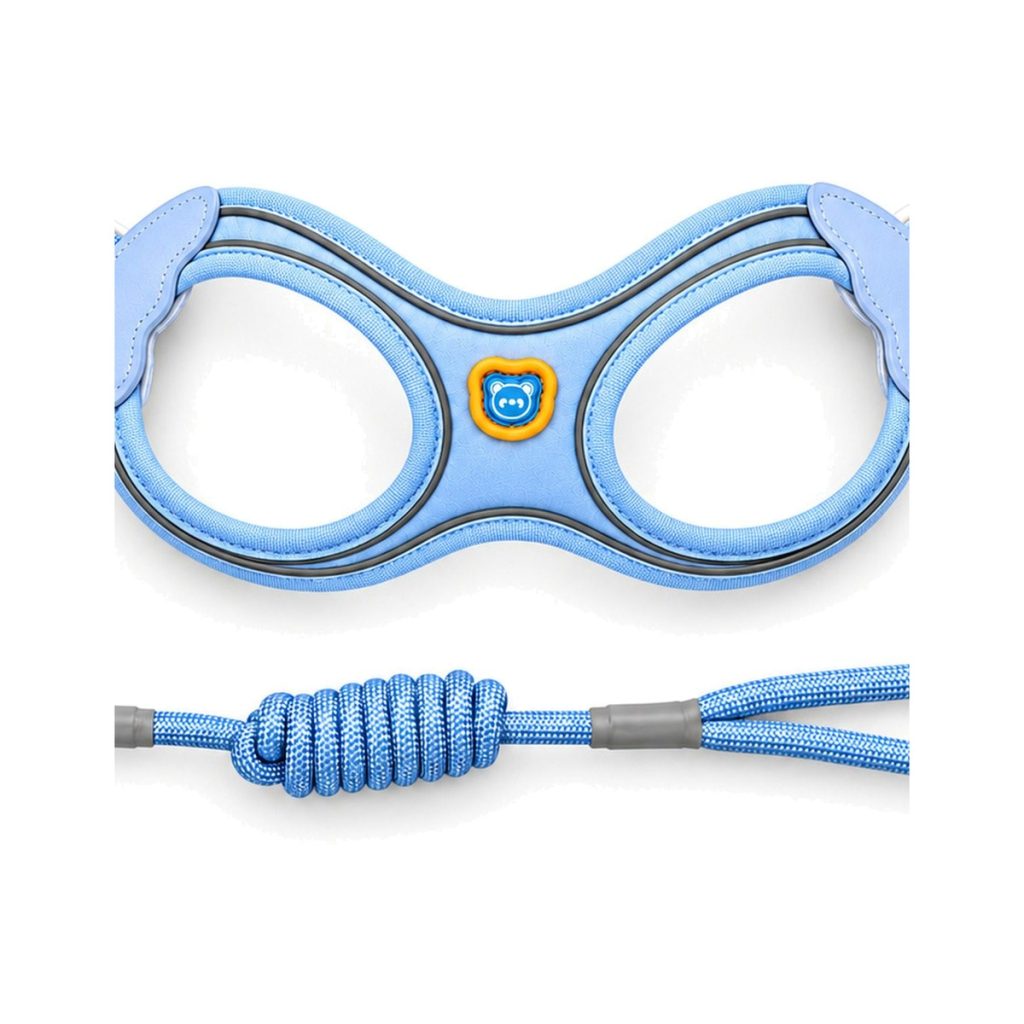 LED Glasses-Style Harness, Rechargeable