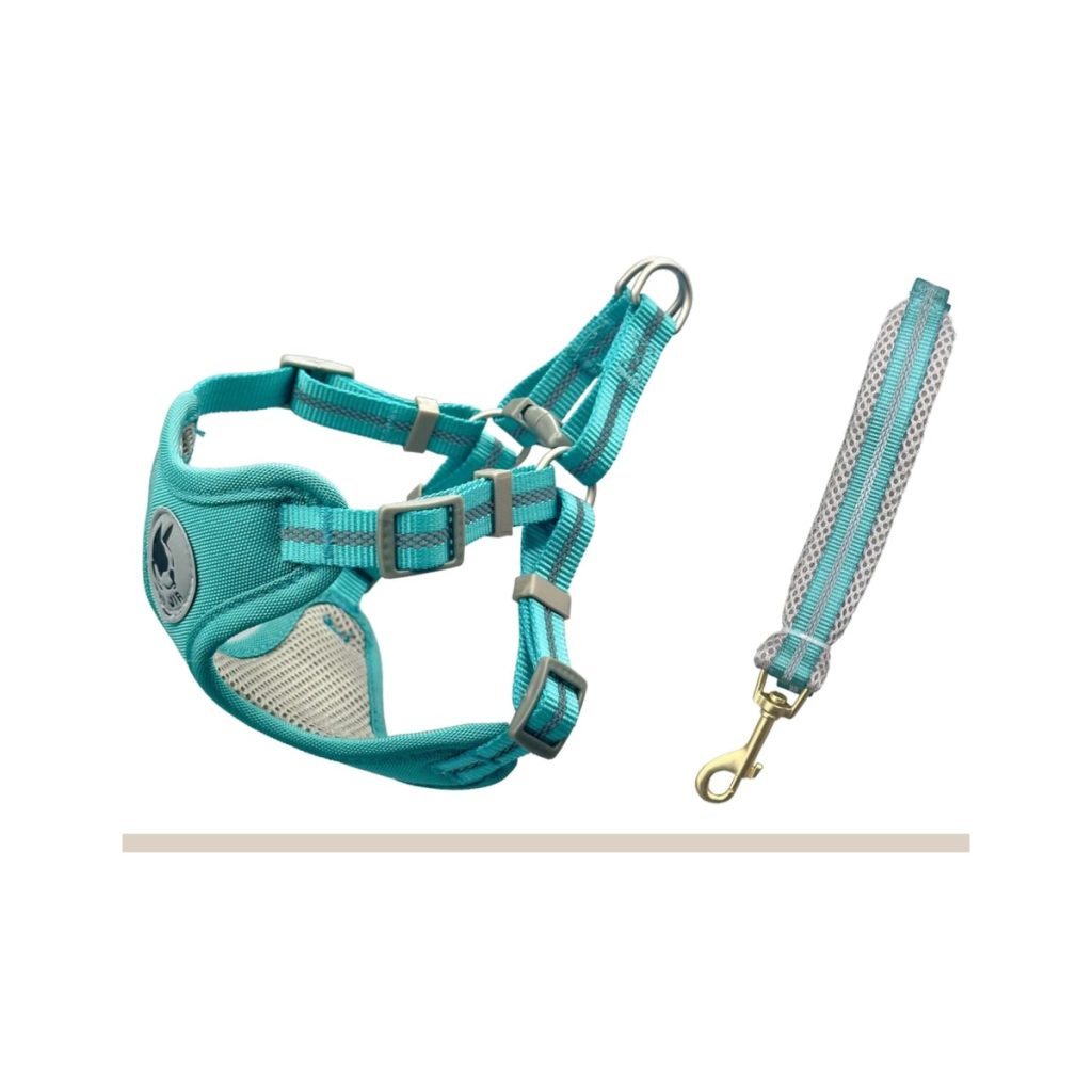 Fixed-Size Waterproof Harness