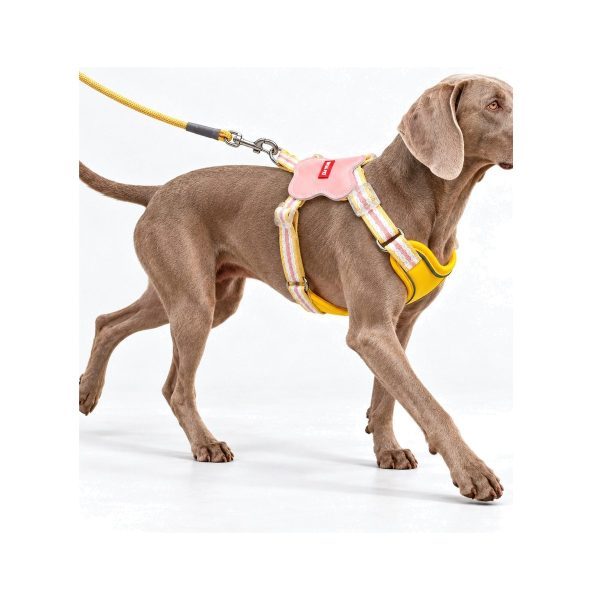 Saddle Harness & Leash Set