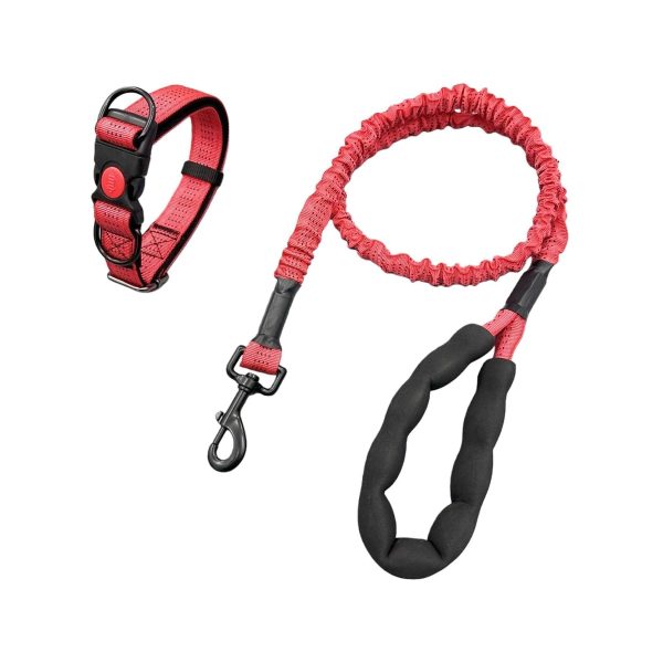 Medium-Dog Nylon Leash Medium-Dog Nylon Leash