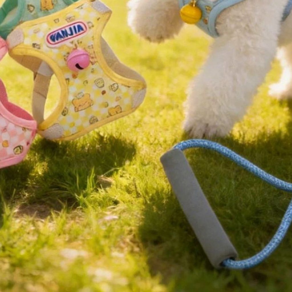 Cream Bear Vest Harness