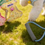 Cream Bear Vest Harness 1