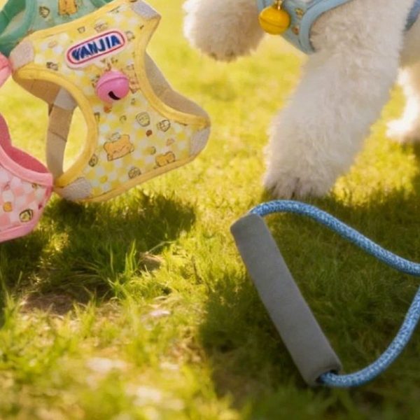 Cream Bear Vest Harness
