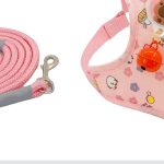 Cartoon Capybara Mesh Harness 2