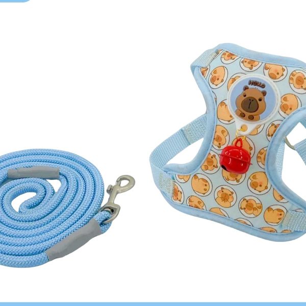 Cartoon Capybara Mesh Harness