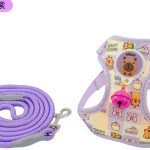 Cartoon Capybara Mesh Harness 6