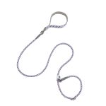 P-Rope Slip Leash 5