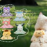 Soft Cat Harness Set 1