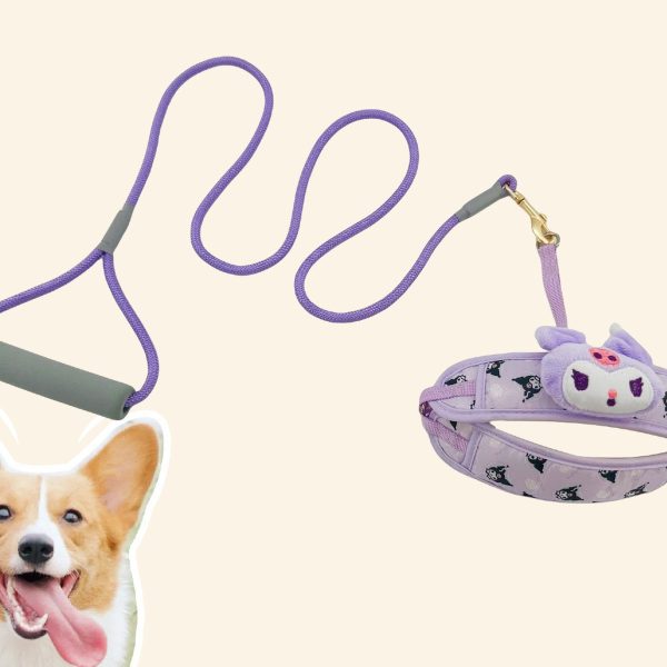 pettrail-945246915425-0