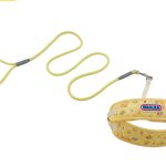 Soft-Edge Dog Leash 2
