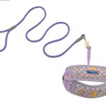 Soft-Edge Dog Leash 3