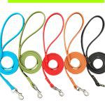 PVC-Coated Dog Leash 2