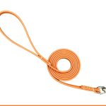PVC-Coated Dog Leash 5