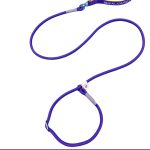 Braided P-Rope Leash 3