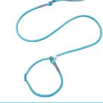 Braided P-Rope Leash 4