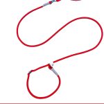 Braided P-Rope Leash 5