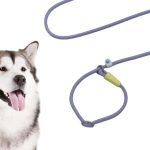 P-Rope Training Lead 1