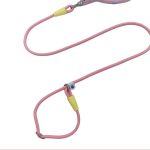P-Rope Training Lead 2