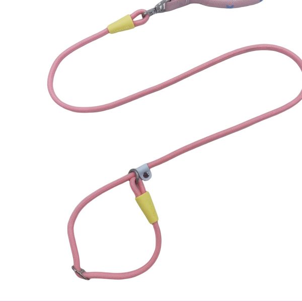 P-Rope Training Lead P-Rope Training Lead