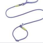 P-Rope Training Lead 4