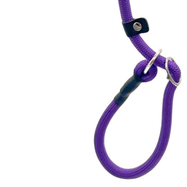 pettrail-949598665682-0